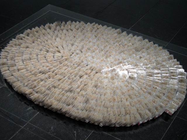 Dandelion Rug