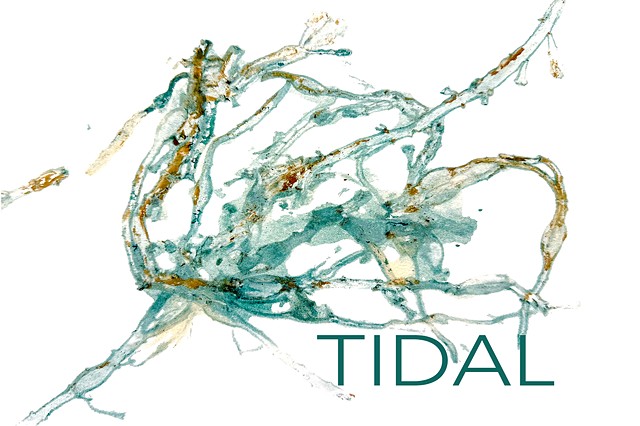 Upcoming Exhibitions 