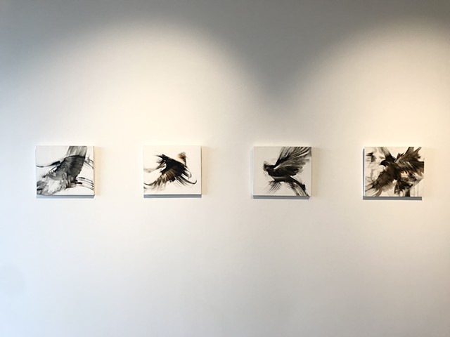Installation photo of ‘Traced in the Shadow’series