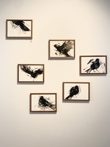Installation of ‘When the birds came back’
