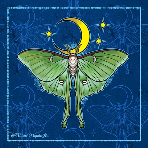 Luna Moth