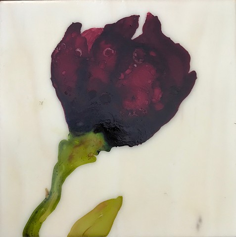 Contemporary art, abstraction, floral, botanical, roses.