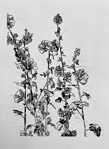Hollyhocks