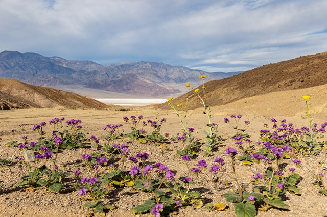 Death Valley, CA