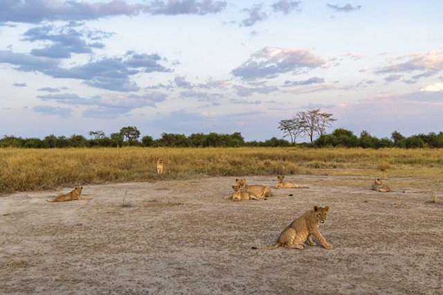 Sunset at Lake Amboseli
