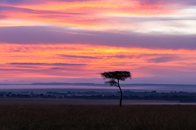 Maasai Mara Sunrise