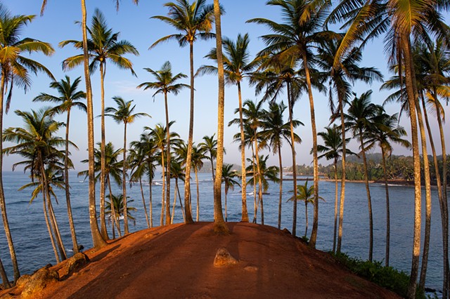 Coconut Tree Hill, Mirissa, Sri Lanka