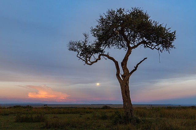 Moon on the Mara