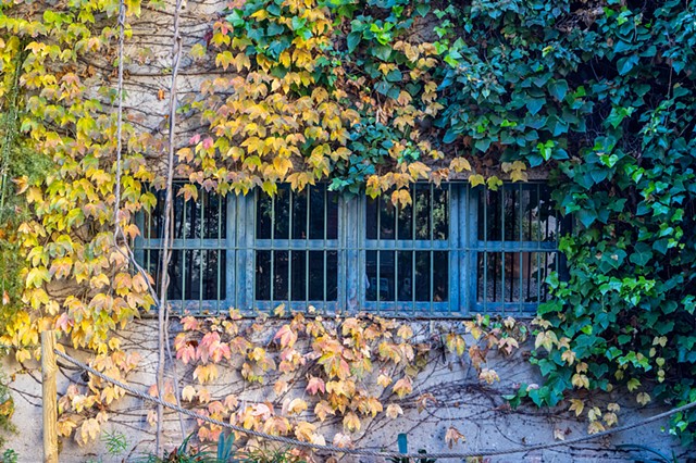 Barcelona Windows