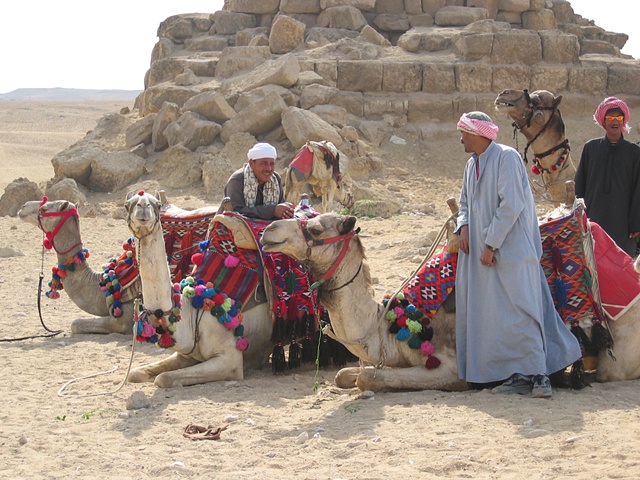 Camel Operators