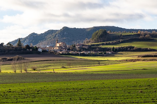 Roadside View