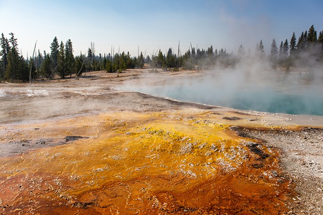 West Thumb Geyer, Yellowstone National Park, WY