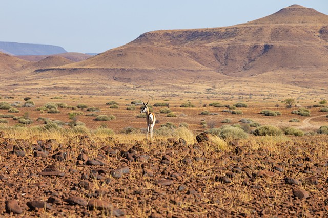 Springbok Overlook