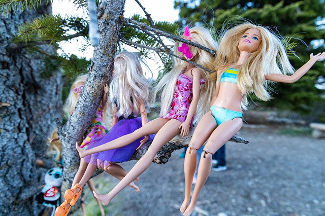 Barbie Party in the Tetons