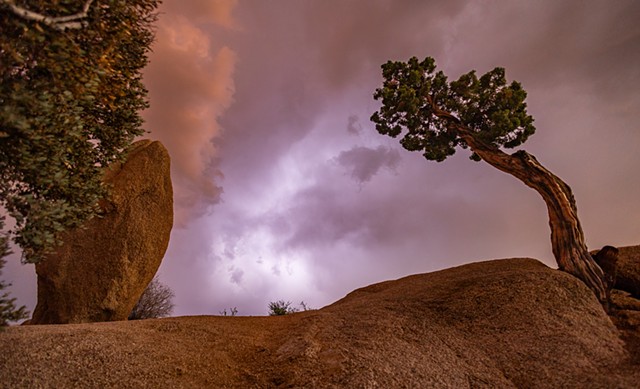 Jumbo Rocks, Joshua Tree National Park, CA
