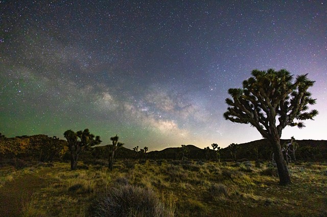 Starry Sky