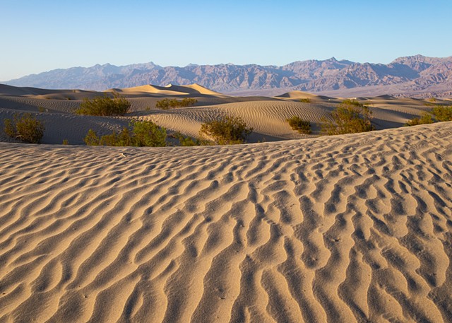 Mesquite Flat Sand Dunes, Death Valley National Park, California 