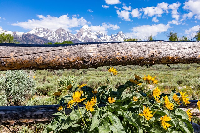 Spring in the Tetons 2