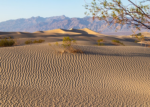 Mesquite Flat Sand Dunes, Death Valley National Park, California 
