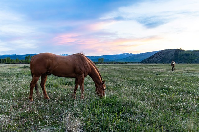 Jackson, WY