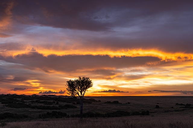 Mara Sunset