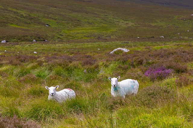 Glendalough, Ireland