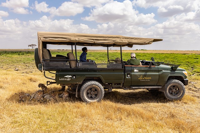 Safari Life