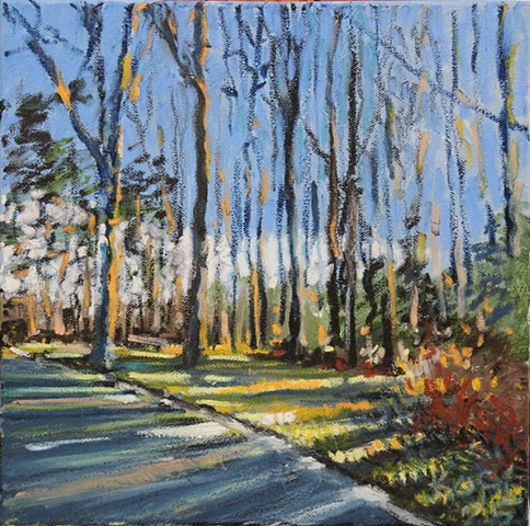 Spring morning, Fairland