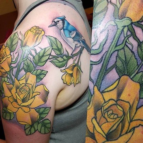 blue jay and yellow roses