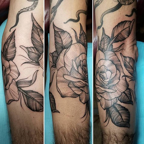 forearm roses