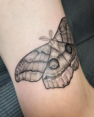 Aggregate more than 72 emperor moth tattoo  thtantai2