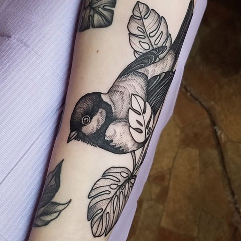 bird and monstera leaves