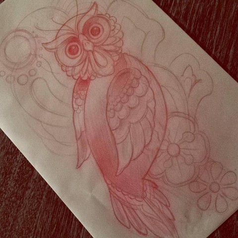 pencil sketch owl