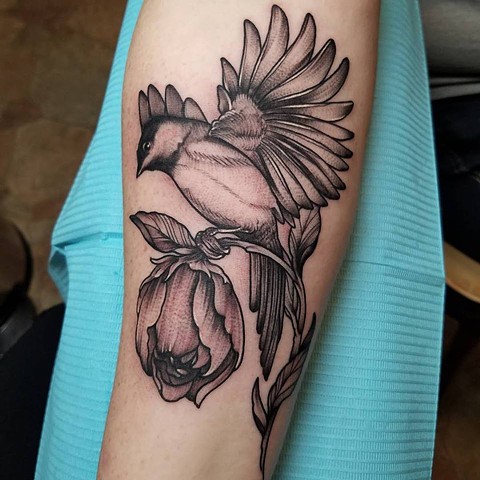 chickadee and flower