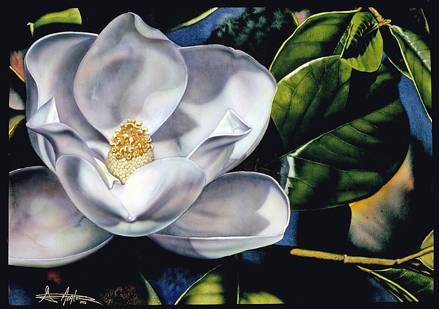 Magnolia III