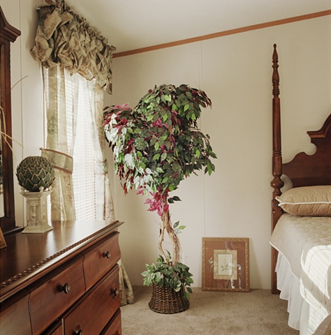 Ficus tree in bedroom, manufactured display home, © Amy Eckert www.amyeckertphoto.com