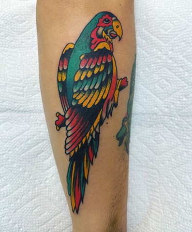 Parrot tattoo, Kissimmee tattooshop, tattooshops near disney, 