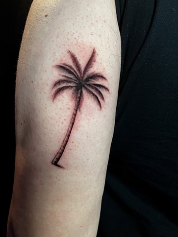 Palm tree tattoos, tattoos, tattooing, small tattoos, Kissimmee tattooshop, tattooshops near disney