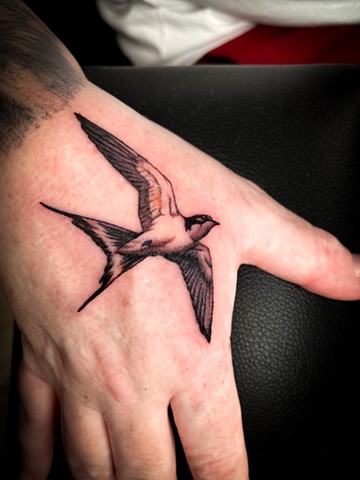 Sparrow tattoo, black and grey tattoos, tattoos, Kissimmee tattooshop, tattooshops near disney, 