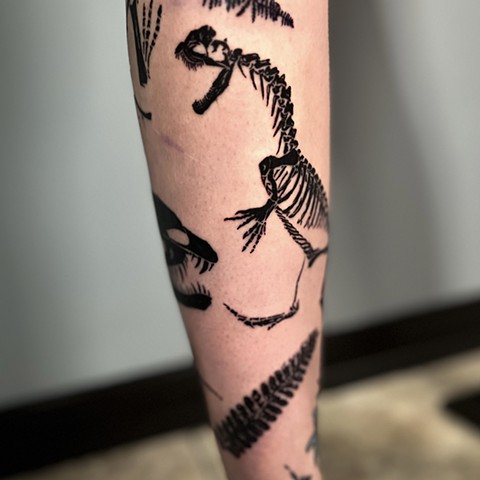 Tattoos, dinosaur tattoos, skeleton tattoo, Dilophosaurus skeleton tattoo, Kissimmee tattoo shop, tattooshops near disney, black line work, black tattoos