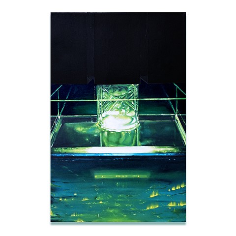 Light Sensing Organs of Lenses