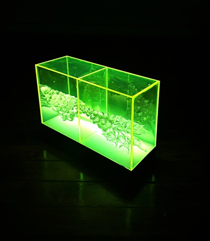 Phototropic Chambers