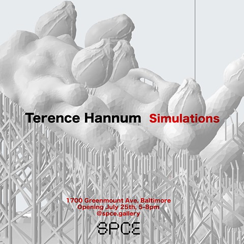 SOLO EXHIBITION: "Simulations" @ SPCE GALLERY in Baltimore, MD