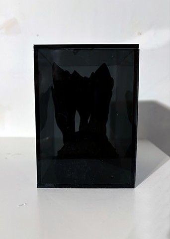 NEW SCULPTURE: SPECIMEN