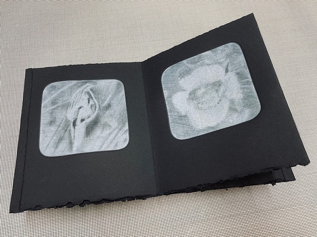 Prints