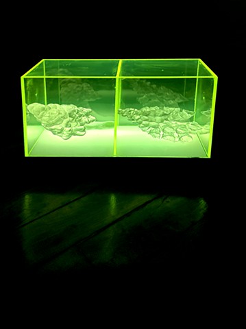Phototropic Chambers