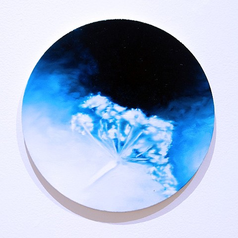 Poisonous Flowers 2022 - 2020