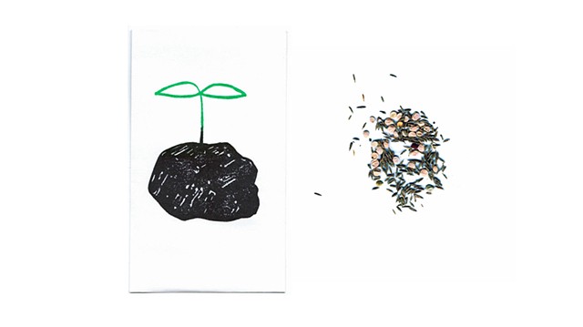 Seeds for Grassy Mountain
