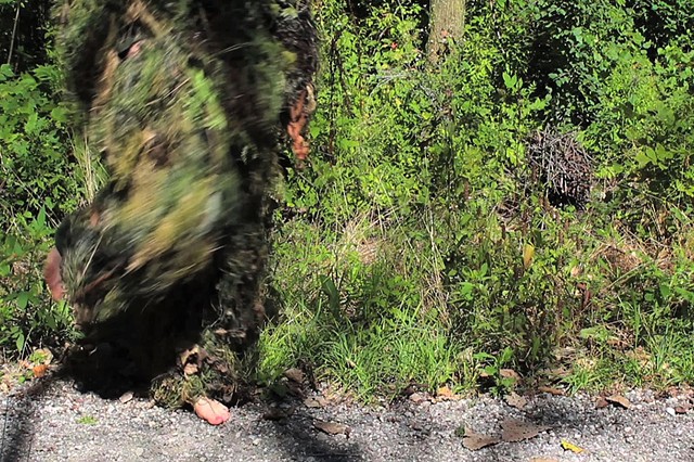Video Still