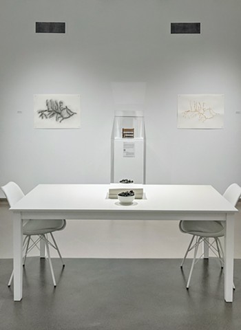 Installation View, Processes of Remediation: art, relationships, nature
